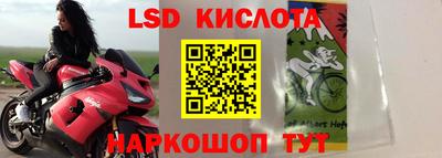стаф Кунгур